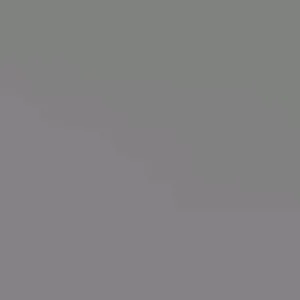 Double Purple/Pink Rose of Sharon Unrooted Cuttings - Set of 10, Outdoor Flowering Shrub - Image 2