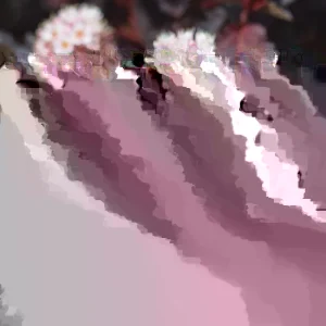 Set of 10 Square Plastic Flower Pots - 6 Inch - Black - Indoor/Outdoor - Image 2