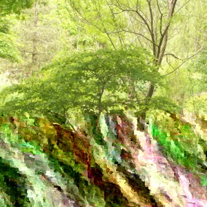 Eastern Redbud Tree Live Plant - Cercis canadensis - 16-24 Inches Tall - 1-2 Year Old - Image 2