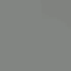 Siberian Iris Live Plant – Starter Plants – Set of 3 Well-Rooted Perennials – Outdoor - Image 2