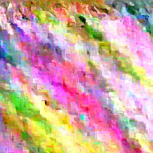 Dwarf Winterberry Holly 'Nana Red Sprite' Live Plant 12-16 Inches Tall, Bare Root, Outdoor - Image 5