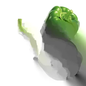 Bushel Buster Bell Pepper Seeds - Sweet Green, 50+ Seeds, Outdoor Vegetable - Image 3