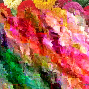 Zinnia Holi Mix Seeds - 100 Count, Colorful Outdoor Flowering Plants - Image 2