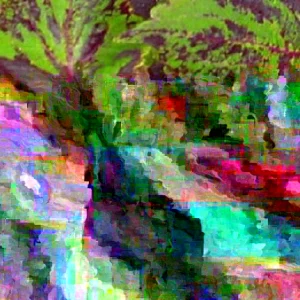 Coleus Jazz Marble Seeds - 500 Count - Green & Purple Foliage - Indoor/Outdoor - Image 2