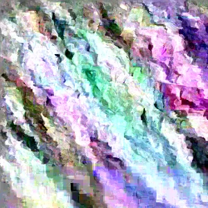 Variegated Wintercreeper Euonymus Cuttings - Set of 12 Live Plants, Ground Cover - Image 1