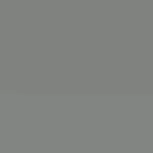 Orange Trumpet Vine Cuttings – Set of 12 – 6-10 Inches – Outdoor Perennial Vine - Image 2