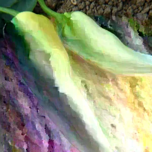 Sweet Banana Pepper Seeds - 50+ Count Seed Packet for Gardening - Image 4