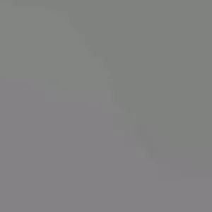 BUTTERHEAD (BUTTERCRUNCH) LETTUCE 50+ SEEDS Lactuca sativa var. capitata - Image 3