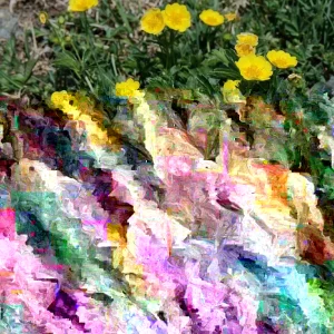 Potentilla Aurea Perennial Seeds - 5000 Pack, Yellow Flowers, Outdoor Groundcover - Image 2