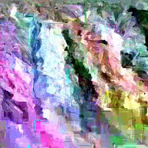 Purple Sprouting Broccoli Seeds - 500 Count - Outdoor Vegetable Seeds - Image 3