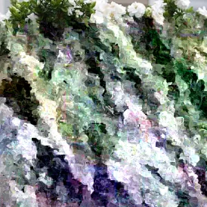 Kleim's Hardy Gardenia Live Plant - 6-10 Inches Tall, Fragrant Evergreen Shrub - Image 2