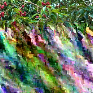 Lychee Fruit Tree Live Plant - Sweet Litchi, Tropical Edible, 6-12