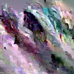 Organic Rau Tan O Vegetable Seeds - Edible Chrysanthemum Seeds - 500+ Count - Outdoor - Image 2