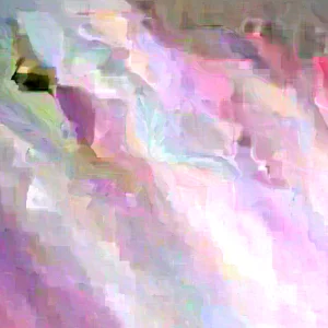 10 Chocolate Mint Live Plants - Culinary Herb Mentha Perennial for Garden - Image 3