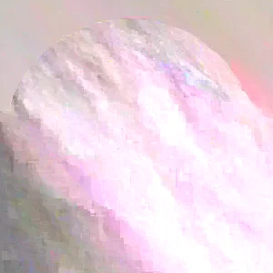 5 Honey Tangerine Seeds - Sweet Juicy Citrus Fruit for Planting - Image 2