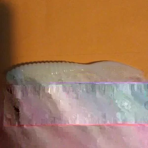 Soft Plastic 4" Sting Ray Grubs Fishing Lures - White Fluorescent, 20 Pack - Image 1