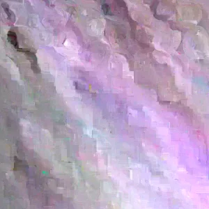 20 Longan Seeds - Sweet Dragon Eye Fruit Seeds for Tropical Climate Gardening - Image 4