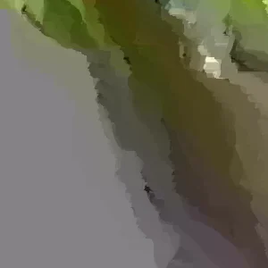 Organic Sugar Apple Na Dai (Annona squamosa) Live Plant Seedling – 7-12 inch Tall - Image 1