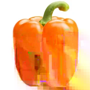 Heirloom Orange Bell Pepper Seeds – 50+ Organic Non-GMO Sweet Pepper Seeds for Garden - Image 2