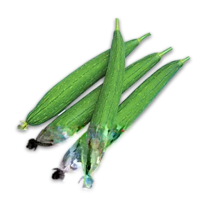 Organic Luffa Gourd Loofah Sponge Seeds - NON-GMO - Vegetable Seeds for Growing - Image 3