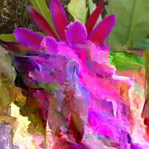 Epiphyllum Orchid Cactus Fresh Cutting Plant – 6-10 Inch – Cacti & Succulents - Image 1