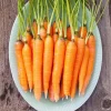 Scarlet Nantes Carrot Seeds - Non-GMO Organic Vegetable Garden Seeds - Approx 288,000 Seeds - Image 1