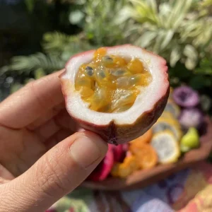 Set of 2 Purple Passionfruit Live Plants - 4-6