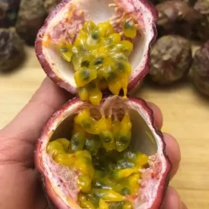 Set of 2 Purple Passionfruit Live Plants - 4-6
