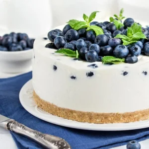 Set of 2 Sunshine Blueberry Live Plants - 4-6