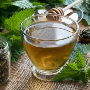 Set of 3 Stinging Nettle Bare Roots - Urtica dioica - Medicinal & Edible Herb Plant for Garden - Image 6