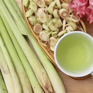 Set of 5 Lemongrass Live Plants - Cymbopogon citratus - 4-8 Inch Tall Tropical Herb for Culinary & Garden Use - Image 3