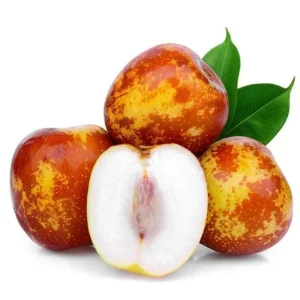 Shanxi Li Jujube Tree – 4-5 Feet Tall – Live Plant – 3 Gallon Pot – Sweet Fruit - Image 1