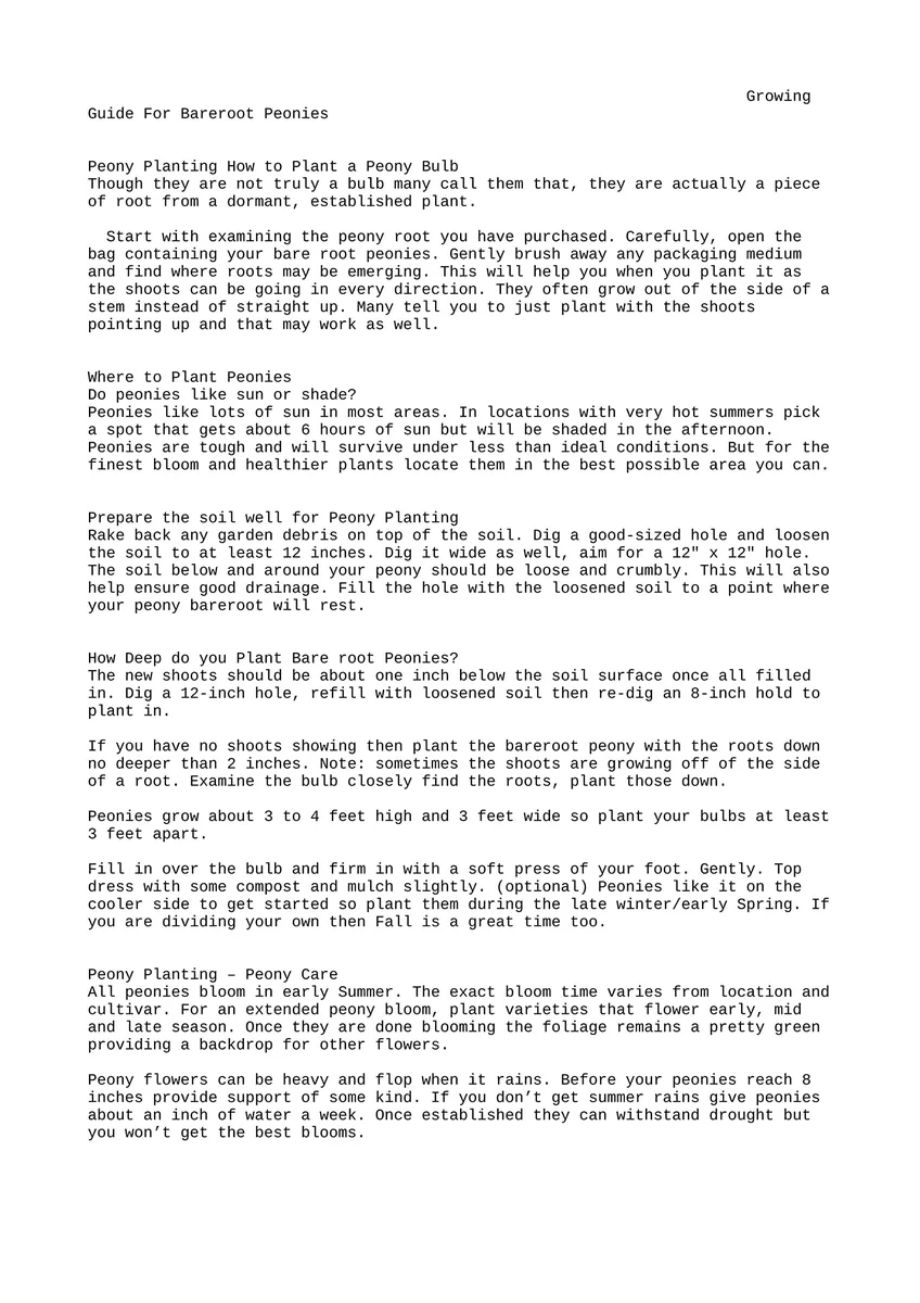 Shirley Temple Peony Bare Root - 2-3 Eye - White to Pink Fragrant Blooms - Image 6