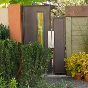 Sky Pencil Holly Live Plant – Evergreen Shrub, 6-12 inch, Quart Pot, Outdoor - Image 6