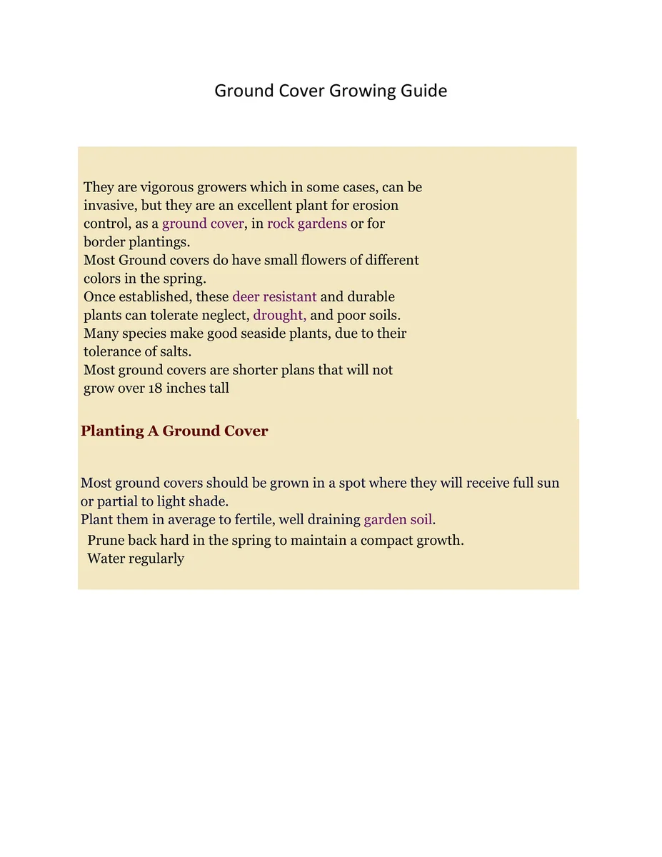 Snowflake Creeping Phlox Live Plant 3.5" Pot - Deer Resistant Groundcover - Image 3