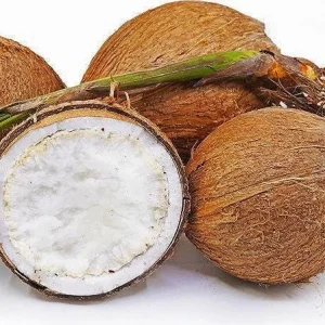 Sprouted Coconut Fruit - Certified Costa Rican, Unique Culinary Experience - Image 1