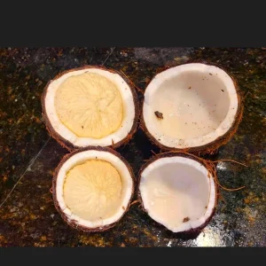 Sprouted Coconut Fruit - Certified Costa Rican, Unique Culinary Experience - Image 5