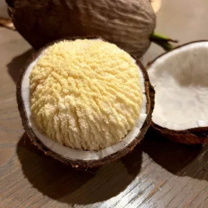 Sprouted Coconut Fruit - Cotton Candy Texture, 2-Pack, Costa Rican - Image 1