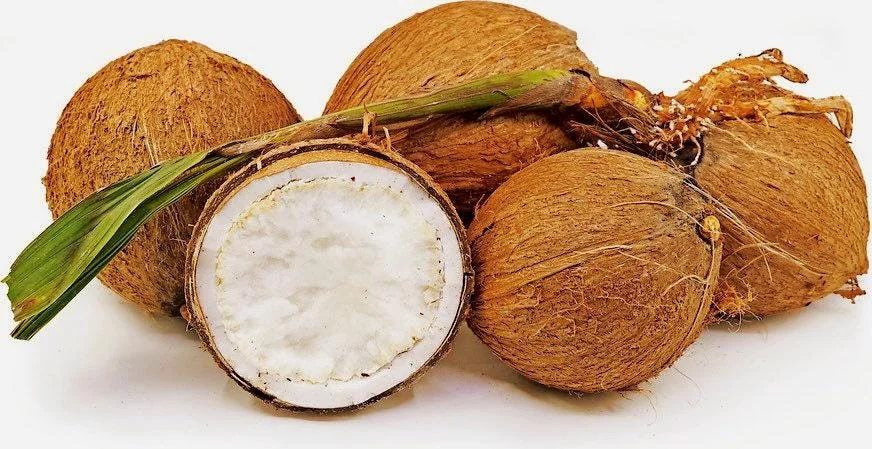 Sprouted Coconut Fruit - Cotton Candy Texture, 2-Pack, Costa Rican - Image 4