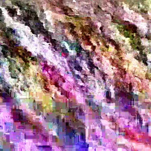 St. John's Wort Hypericum Hidcote Live Plant 12+ Inches Tall Bare Root Perennial - Image 2