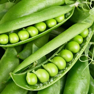 Sugar Ann Snap Pea Seeds - Heirloom, Non-GMO, Early Harvest, Compact - Image 4