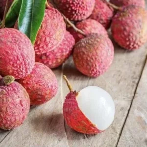 Sweet Lychee Live Air-layered Tree - 2 Feet Tall, Edible Fruit Tree, Outdoor - Image 7
