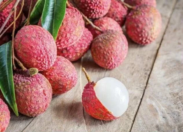 Sweet Lychee Live Air-layered Tree 2 Feet Tall - Fruit Plant Outdoor - Image 7