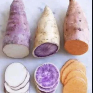 Sweet Potato Slips Variety Pack - 15 Cuttings - Red Japanese, Okinawa, Beauregard for Planting - Image 1