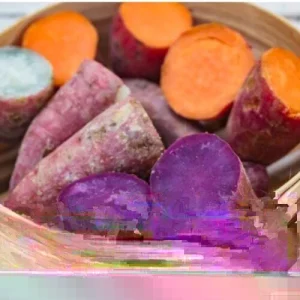 Sweet Potato Slips Variety Pack - 15 Cuttings: Red Skin White, Murasaki, Purple - Live Plant for Growing - Image 4