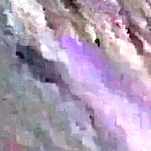 Sweet Potato Slips Variety Pack - 20 Cuttings - Korea Purple, Okinawa, White, Orange for Planting - Image 4