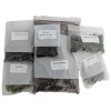 Terrarium Kit - DIY Miniature Garden Supplies - Potting Soil, Moss - Image 1