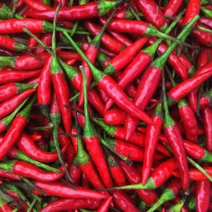 Thai Bird's Eye Chili Pepper Seeds - Hot, Non-GMO, Ornamental Peppers - Image 2
