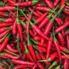 Thai Hot Pepper Seeds - Non-GMO Red Chili Vegetable Seeds for Indoor & Outdoor - Image 1