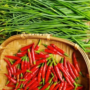 Thai Red Chili Seeds - Piri Piri Hot Pepper Seeds - Non-GMO Heirloom - Indoor/Outdoor - Image 2